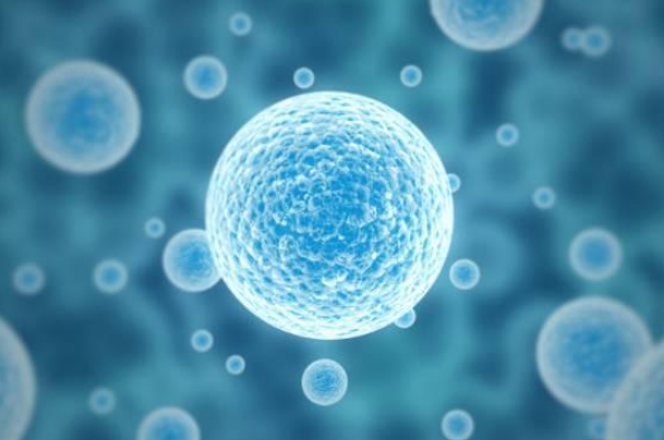 {随机变量I1}图片