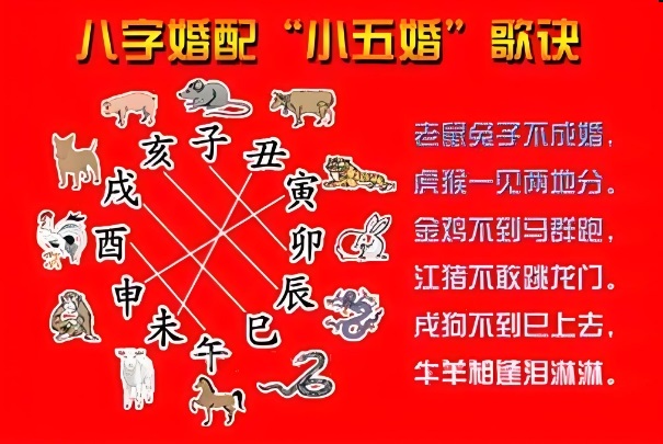 {随机变量I1}图片