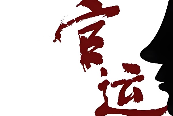 {随机变量I1}图片