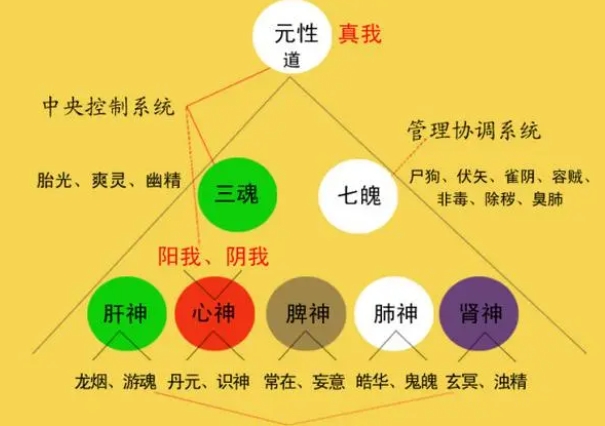 {随机变量I1}图片