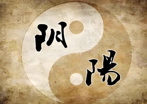 {随机变量I1}图片