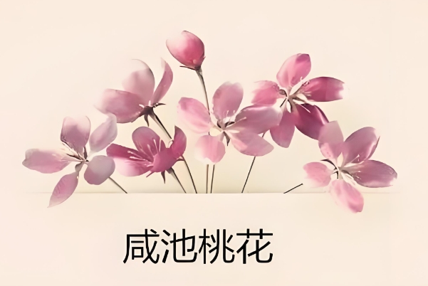 {随机变量I1}图片