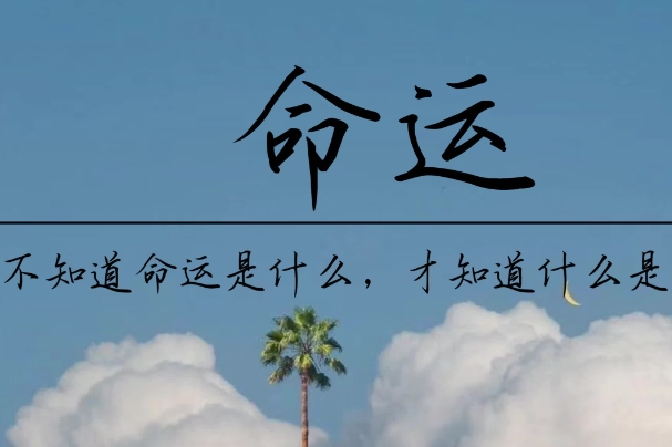 {随机变量I1}图片