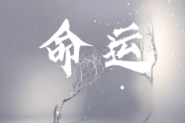 {随机变量I1}图片