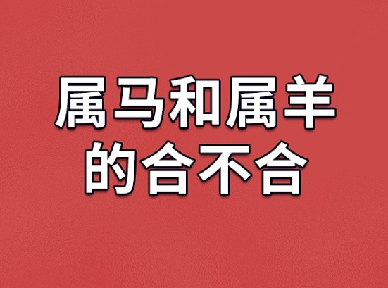 {随机变量I1}图片