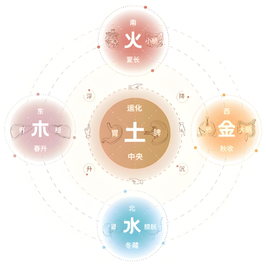 {随机变量I1}图片